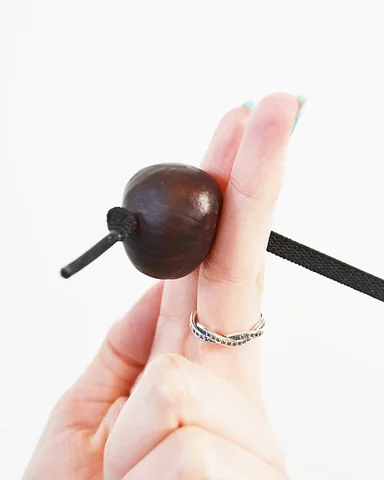 A conker on a black lace, held up between two fingers.
