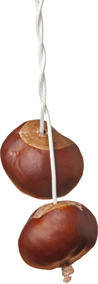 Two conkers threaded on a string