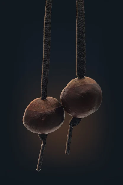 Two conkers hanging from black laces, with a knot tied beneath each.