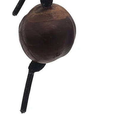 A conker threaded on a black lace, held by a knot beneath it.